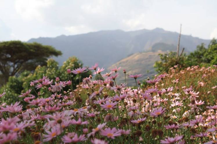 12662590_10207168667273159_2054072327337572779_n